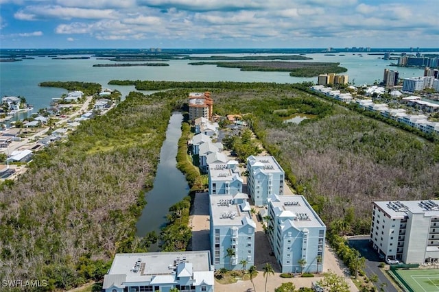 aerial view with a water view