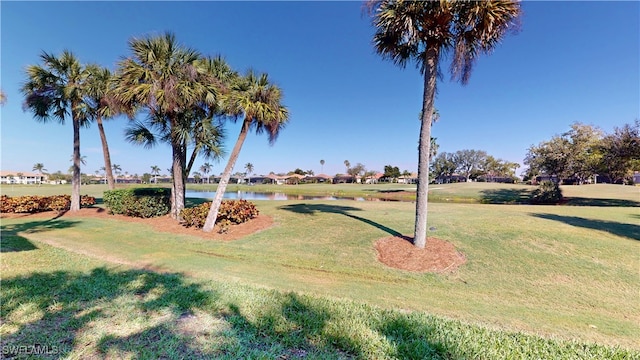 view of community featuring a lawn and a water view