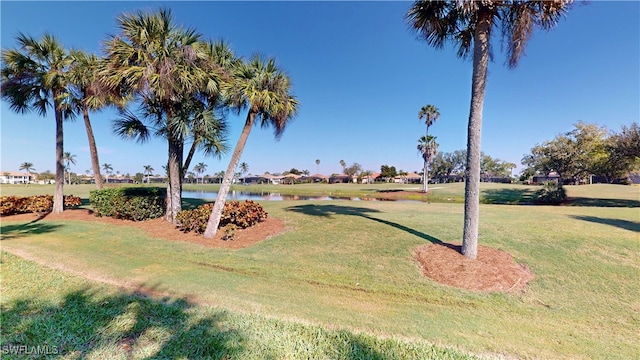 view of community featuring a water view and a yard