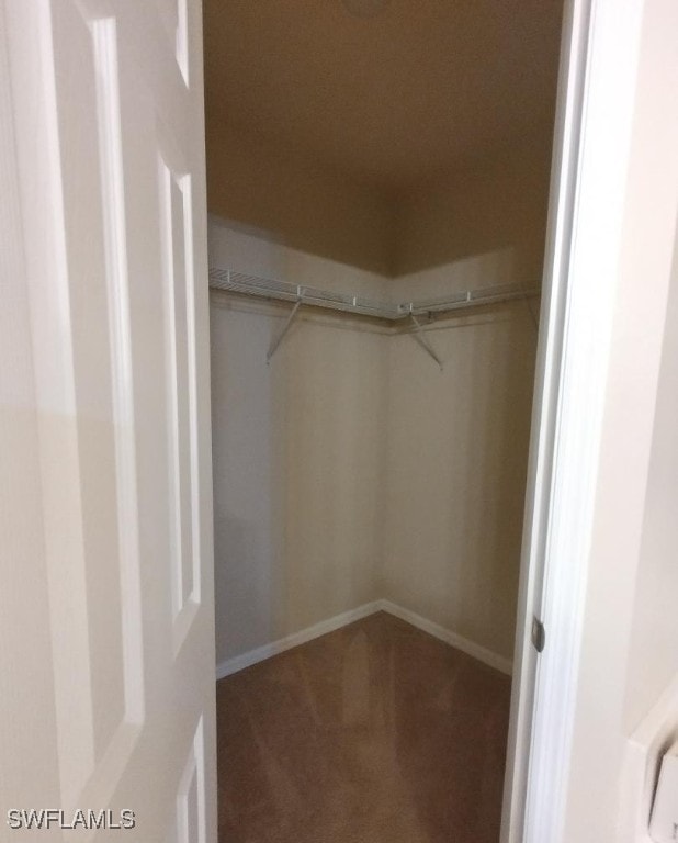 walk in closet featuring carpet floors