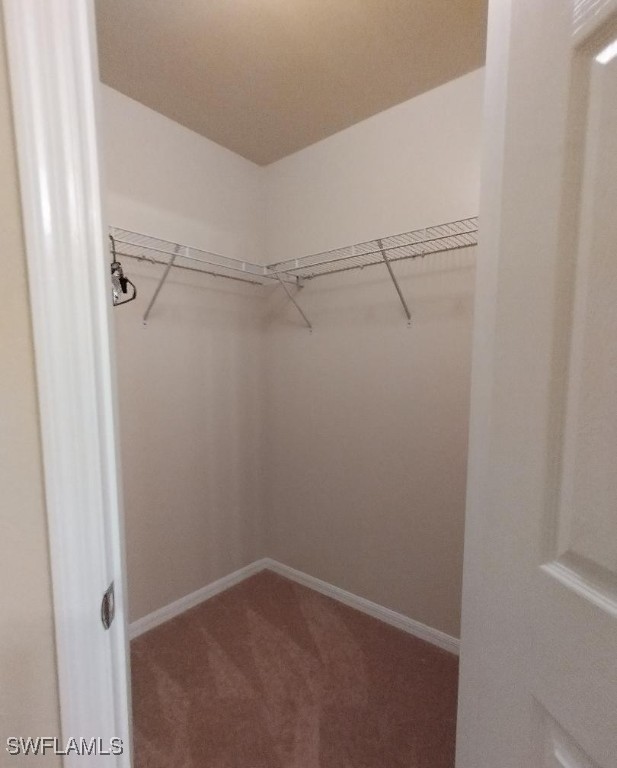 walk in closet featuring carpet flooring