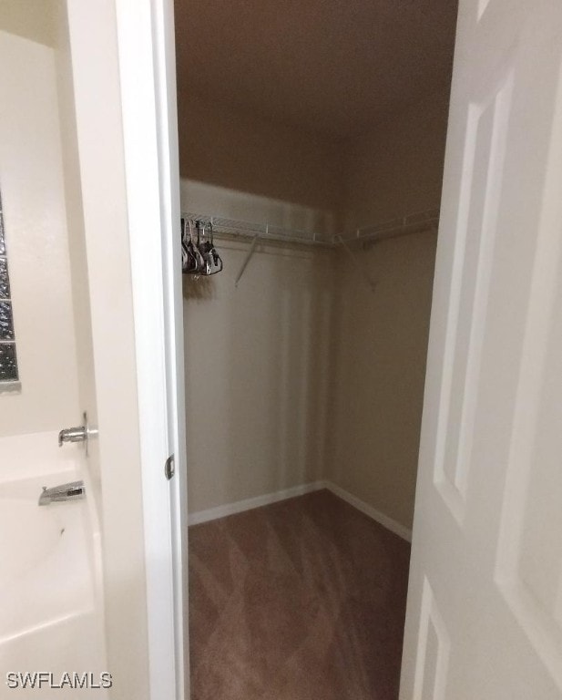 walk in closet featuring carpet