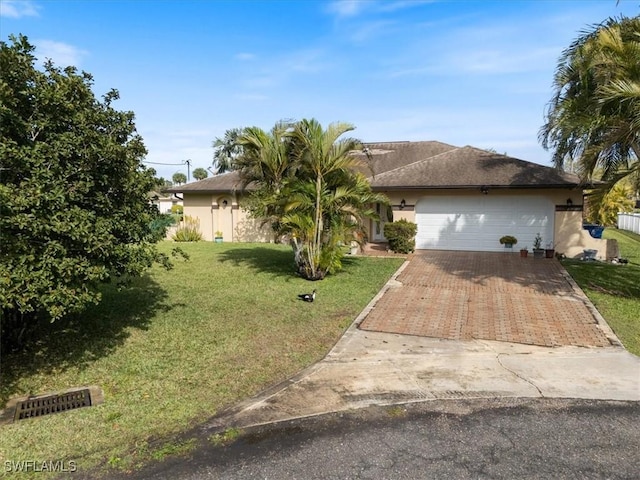 ranch-style home featuring decorative driveway and a front yard