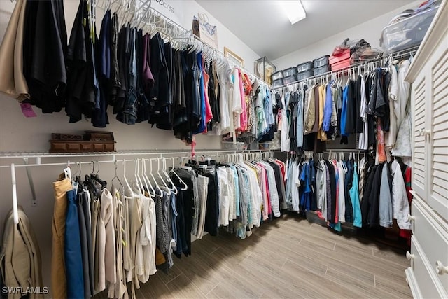 spacious closet featuring wood finish floors