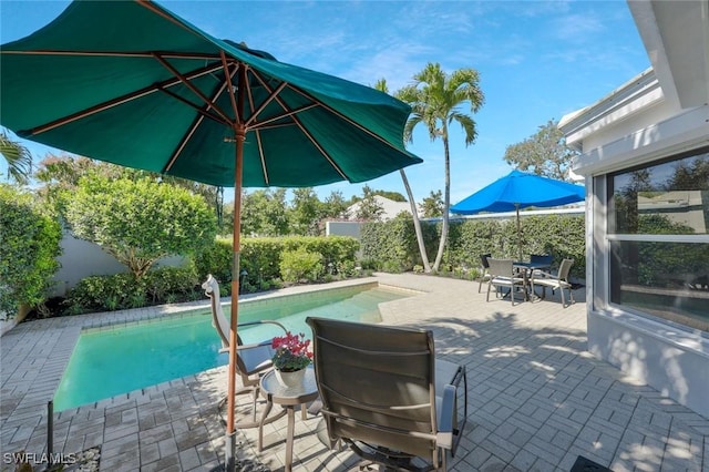 view of swimming pool featuring a patio area, a fenced backyard, and a fenced in pool