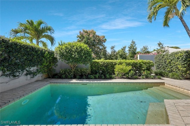 view of swimming pool featuring a fenced backyard and a fenced in pool