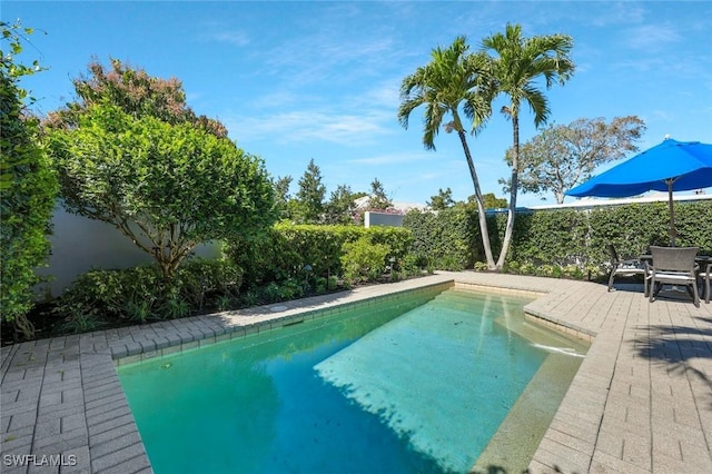 view of swimming pool with a fenced in pool and a fenced backyard