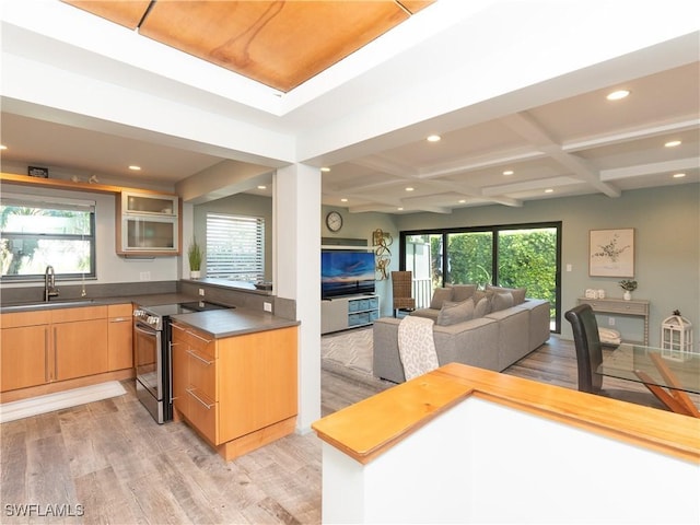 kitchen featuring light wood-type flooring, a healthy amount of sunlight, a sink, and stainless steel electric stove