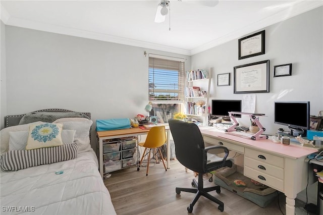 office space with crown molding, ceiling fan, and wood finished floors