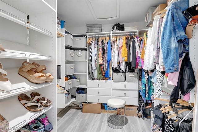 walk in closet featuring wood finished floors