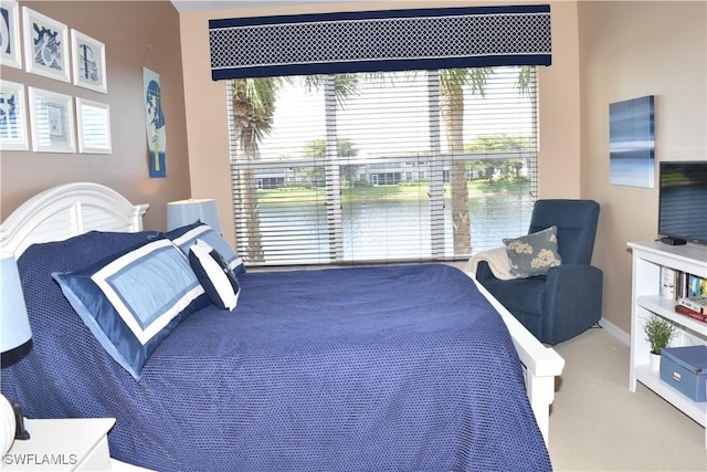 bedroom with carpet and multiple windows