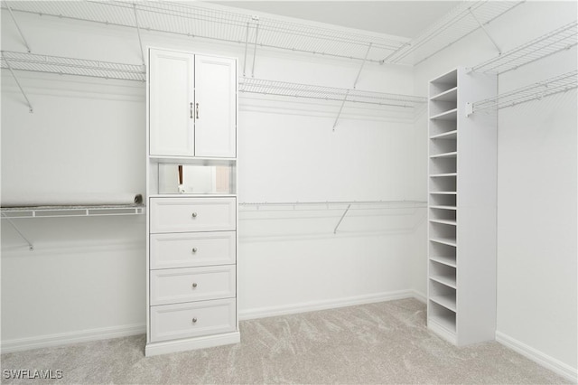 spacious closet featuring light colored carpet