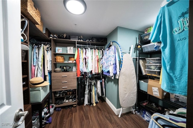 spacious closet featuring wood finished floors