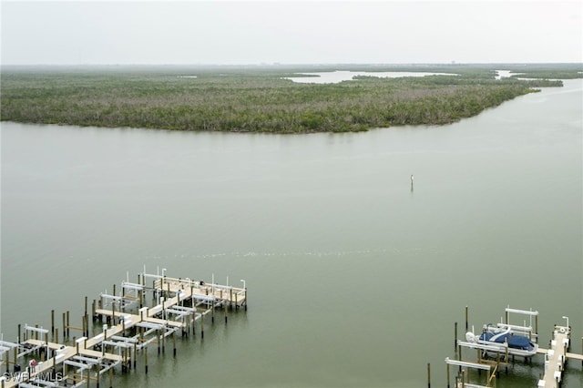 exterior space featuring a boat dock and boat lift