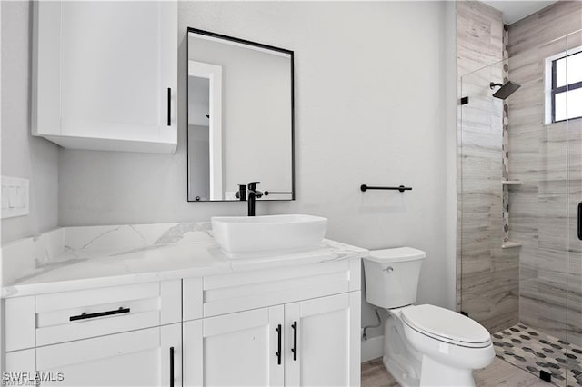 bathroom featuring vanity, a shower stall, and toilet