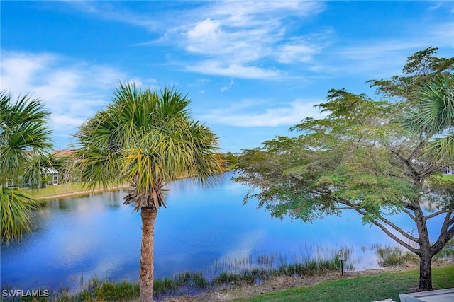 view of water feature