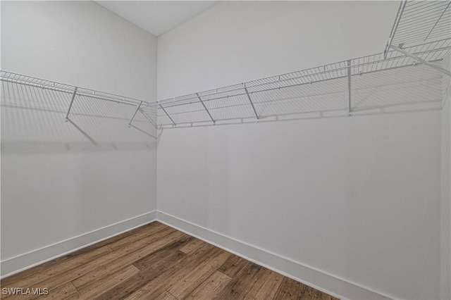 walk in closet with wood finished floors