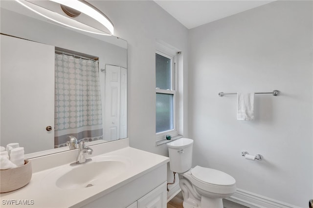 full bathroom featuring toilet, a shower with curtain, and vanity