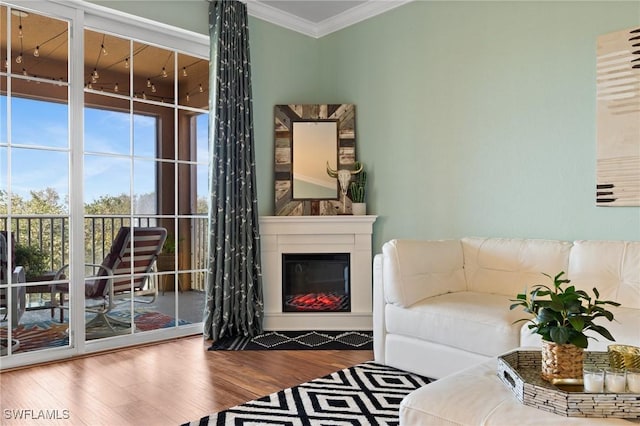 living area featuring ornamental molding, wood finished floors, and a glass covered fireplace