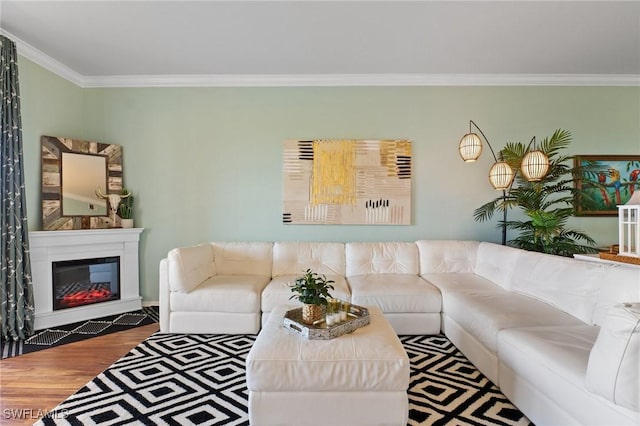 living room featuring ornamental molding, wood finished floors, and a glass covered fireplace