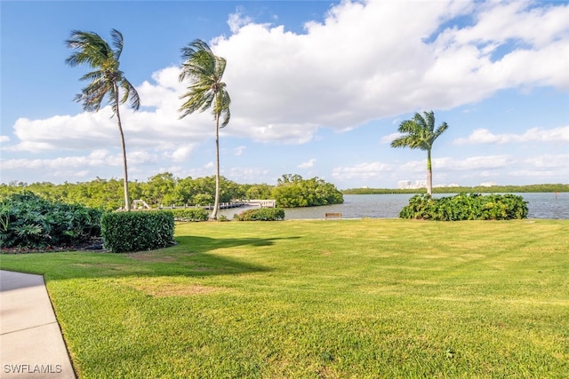 view of yard featuring a water view