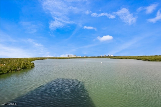 5 Bluebill Ave Unit 511, Naples, FL 34108 - water view