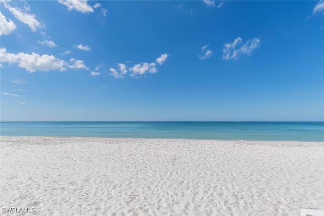 water view featuring a beach view