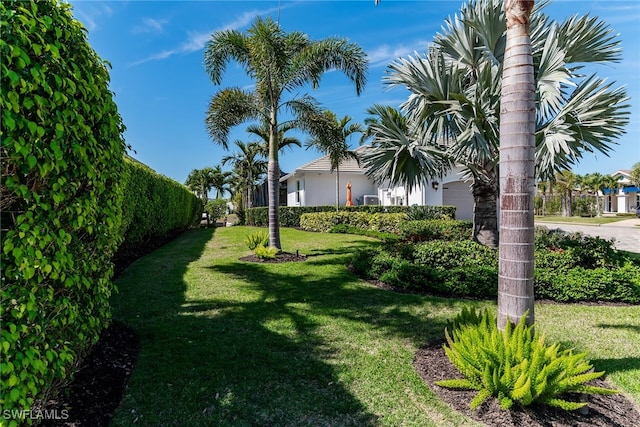 1015 Goldenrod Ave, Marco Island, FL 34145 - view of yard with a garage