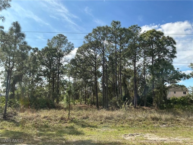 728/730 Eisenhower Blvd, Lehigh Acres FL, 33974 land for sale