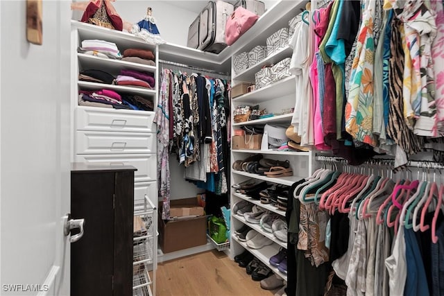 walk in closet with light wood-style floors