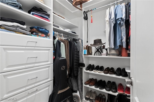 view of walk in closet