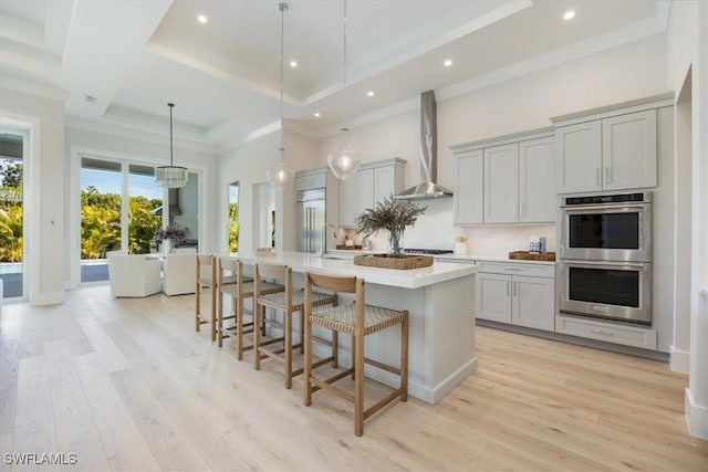 kitchen with gray cabinetry, wall chimney range hood, appliances with stainless steel finishes, a tray ceiling, and light wood finished floors