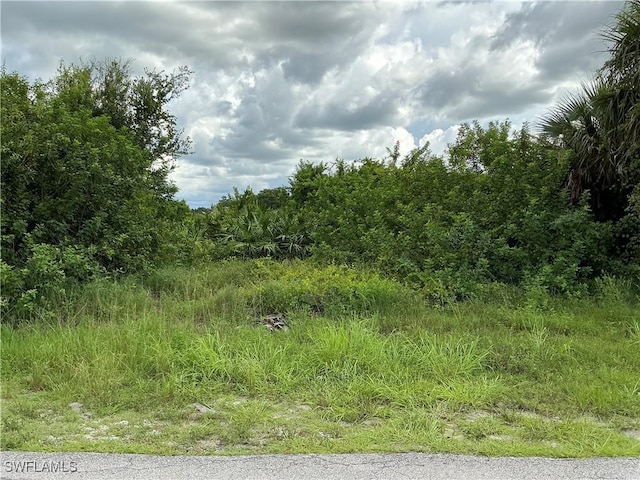 4900 2nd St W, Lehigh Acres FL, 33971 land for sale