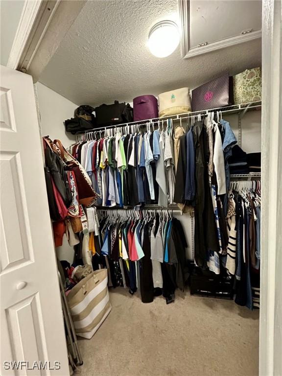 walk in closet featuring carpet