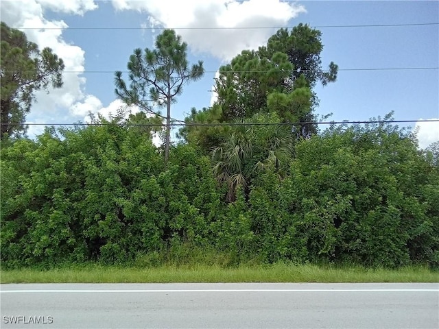 1028 Alvin Ave, Lehigh Acres FL, 33971 land for sale