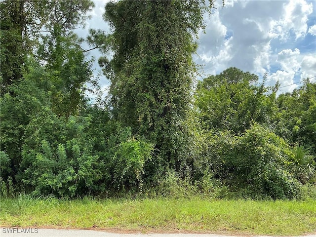 2621 59th St W, Lehigh Acres FL, 33971 land for sale