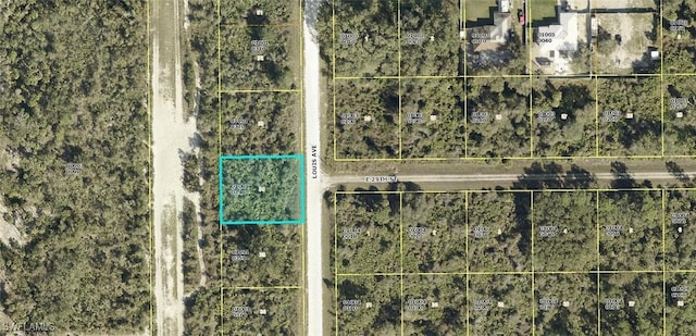 2805 Louis Ave, Alva FL, 33920 land for sale