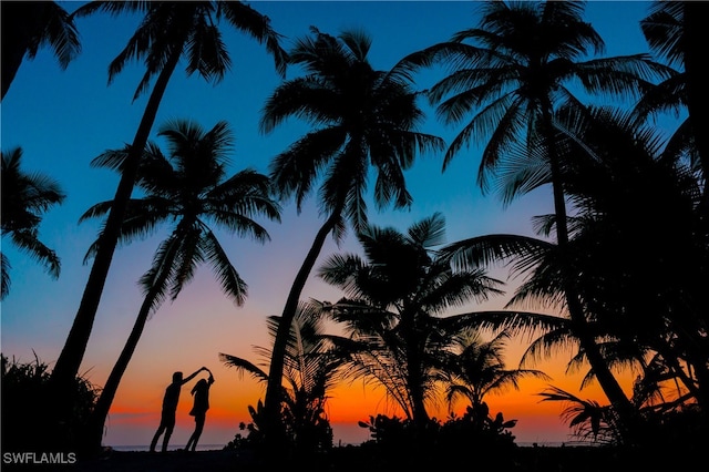 view of nature at dusk