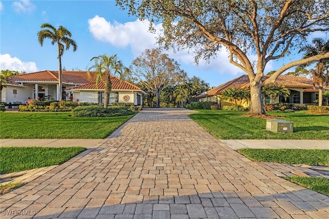 view of property's community featuring decorative driveway and a lawn