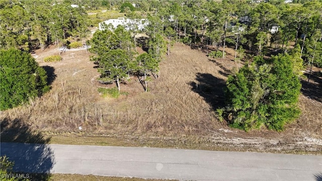 1318 Cortez Ave, Lehigh Acres FL, 33972 land for sale