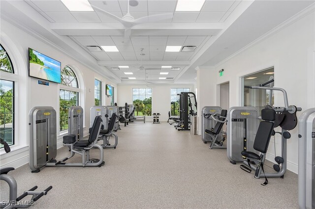 gym with a paneled ceiling and plenty of natural light