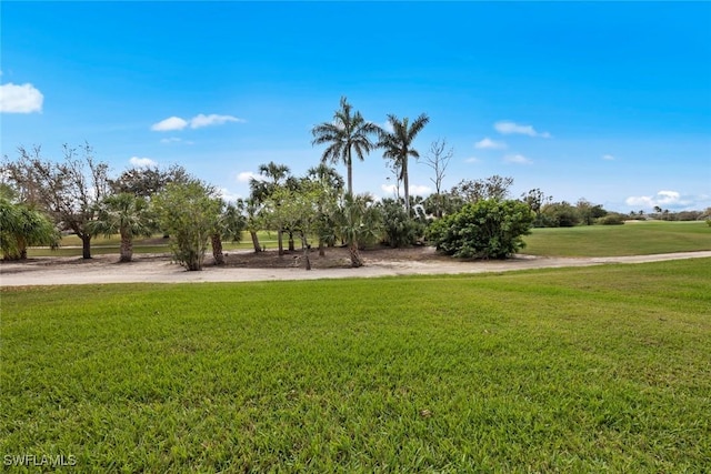 view of property's community with a lawn