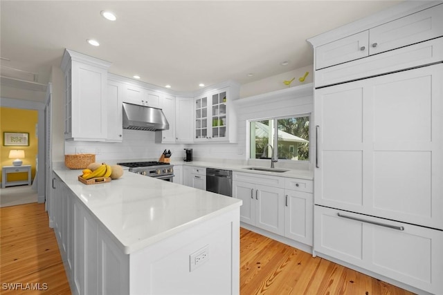 kitchen featuring under cabinet range hood, light wood-style flooring, white cabinets, stainless steel appliances, and a sink