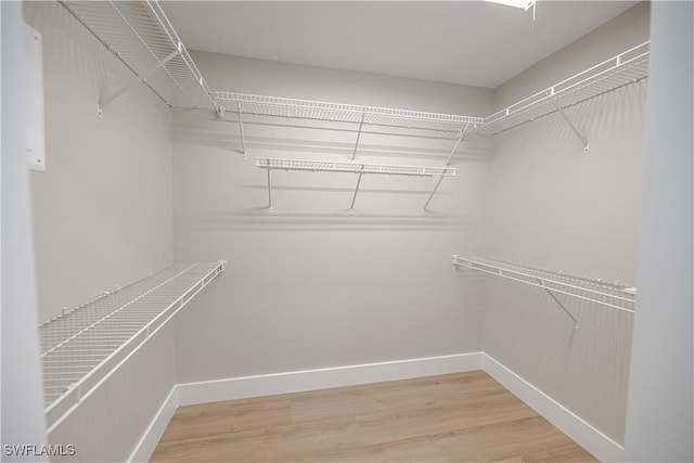 spacious closet featuring light wood-type flooring