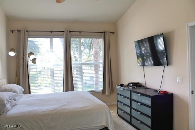 bedroom with carpet flooring