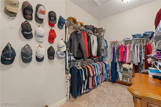 walk in closet with carpet floors