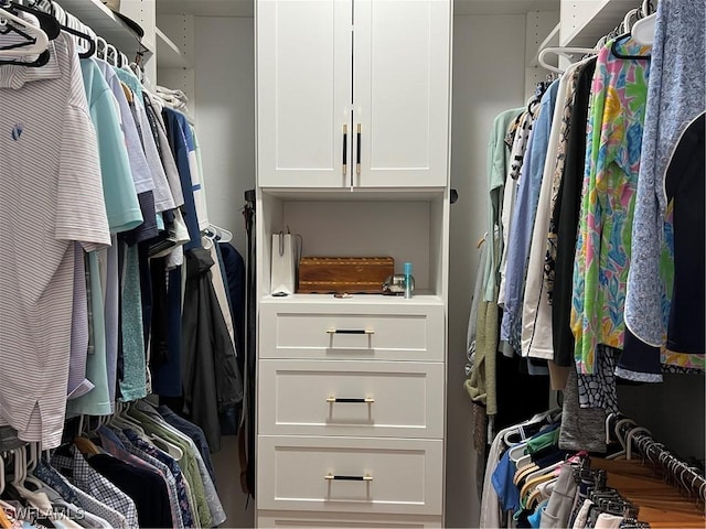 view of walk in closet