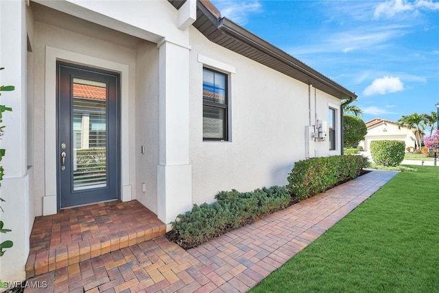 view of exterior entry featuring a lawn and stucco siding