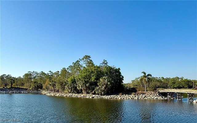 view of water feature