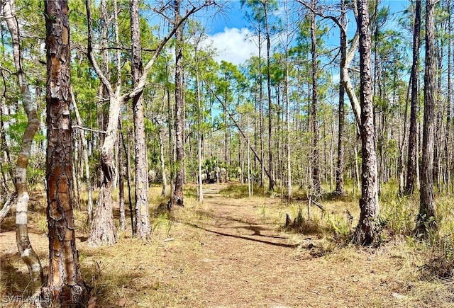 view of local wilderness with a view of trees